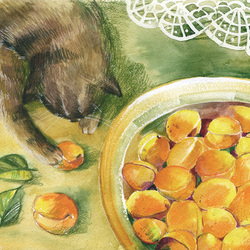 Кошка и абрикосы