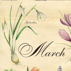 Ботанический плакат
