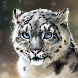 SNOWLEOPARD