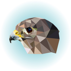 falcon low poly