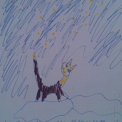 Звездный кот