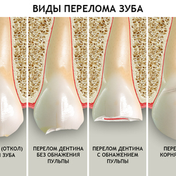 для стоматологий 2