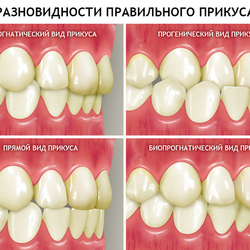 для стоматологий 3