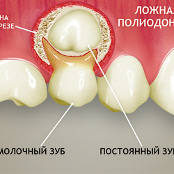 для стоматологий 8