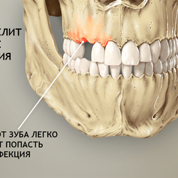 для стоматологий 11