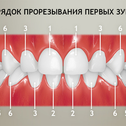 для стоматологий 14