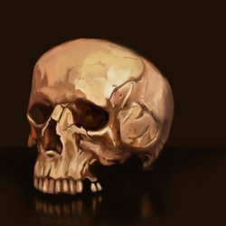 skull