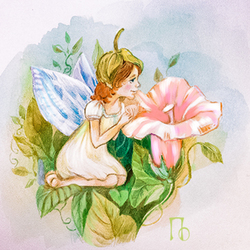 Fairy