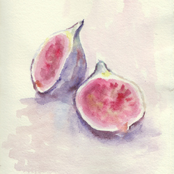  figs