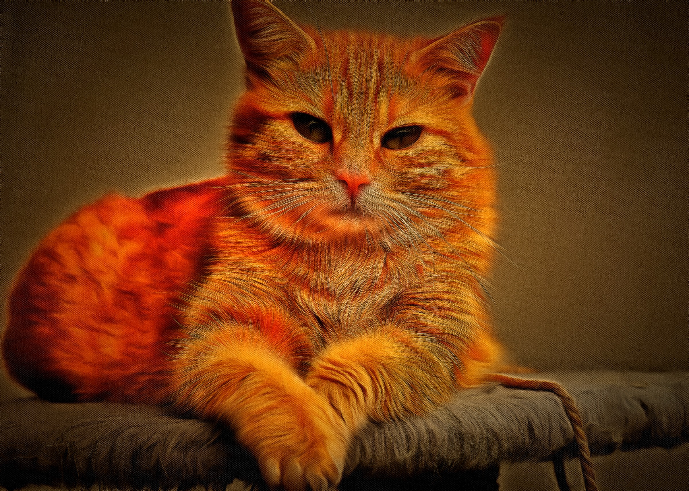 Огненно Рыжие Коты