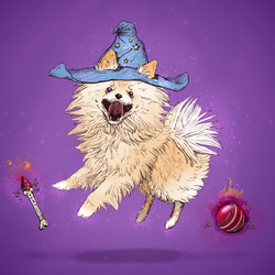 Wizard dog