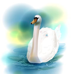 Белый лебедь, плаваюший в пруду