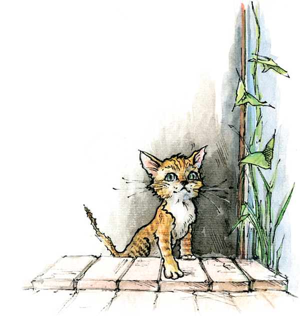 Метафора в стихотворении котенок благинина. Благинина котенок. Рисунок к стихотворению котенок. Благинина котенок иллюстрация. Рисунок к стихотворению Благининой котенок.