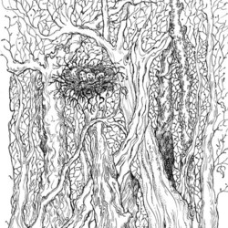 Лес - Иллюстрация к стихотворению