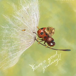 Счастливого путешествия!