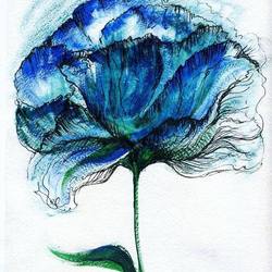 blue flower