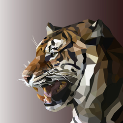 Tiger low poly style