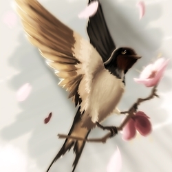 Для обложки