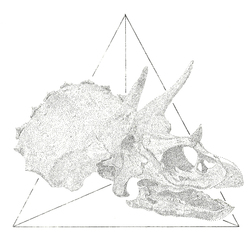 Triceratops