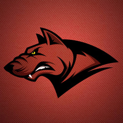 Голова пса.