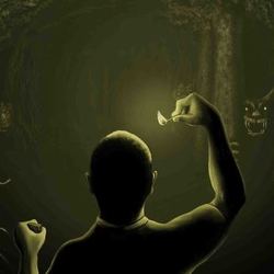 Лес без света