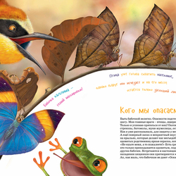 иллюстрация к книге "Я бабочка"
