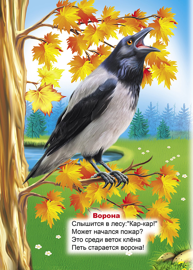 Ворон ворону стих. Стихотворение про ворону. Детские стихи про ворону. Стих про ворону для детей. Стихи детям ворон.