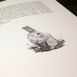 Иллюстрация к книге В. Потиевского "Утес белой совы"