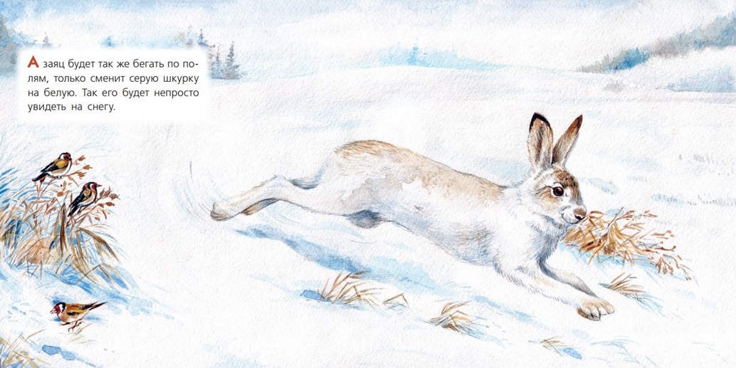 Развитие речи зайцы старшая группа. Заяц бежит по снегу. Заяц в лес бежал. Заяц убегает от лисы. Лиса бежит за зайцем.