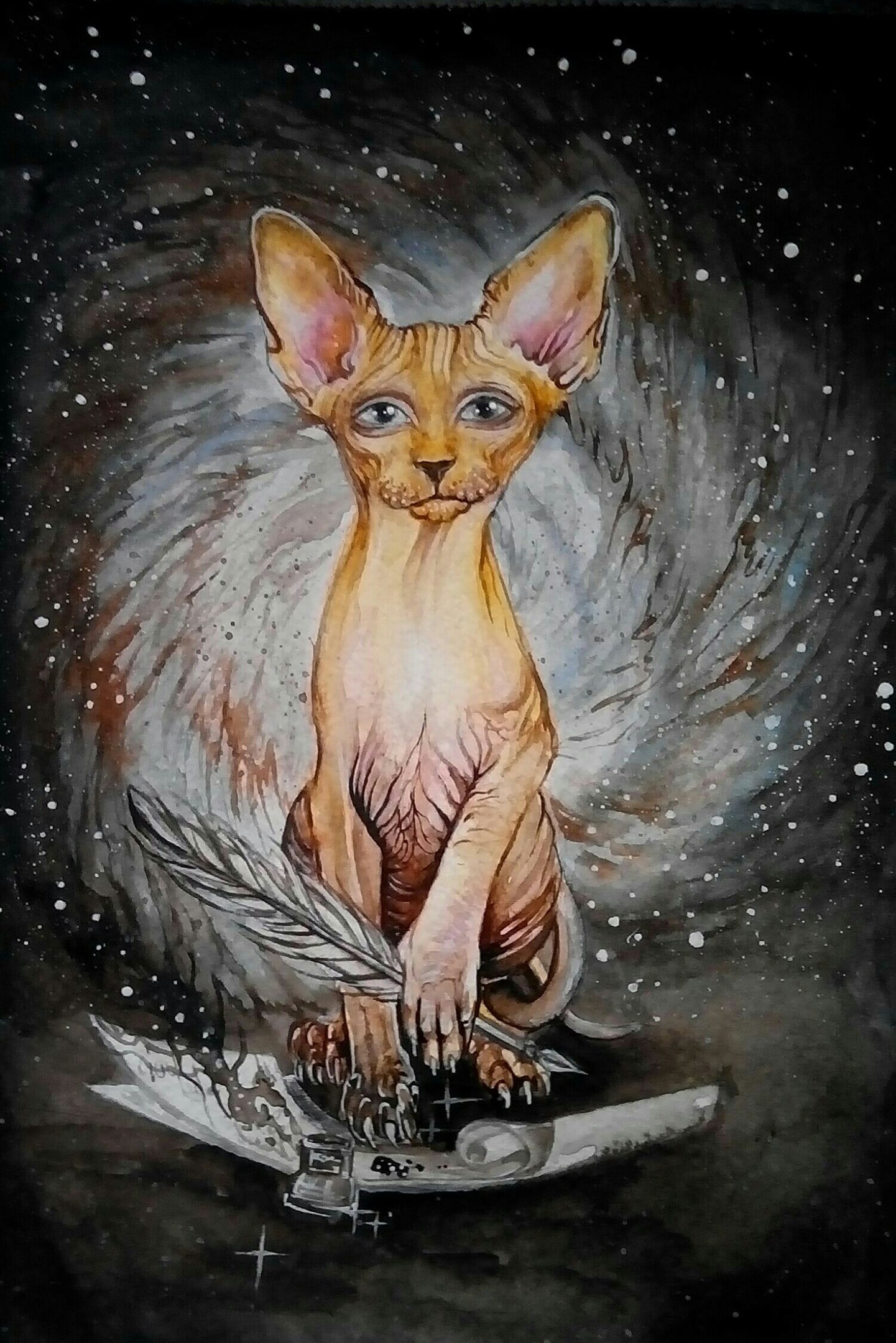 Картина кот сфинкс