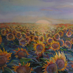 Поле подсолнухи