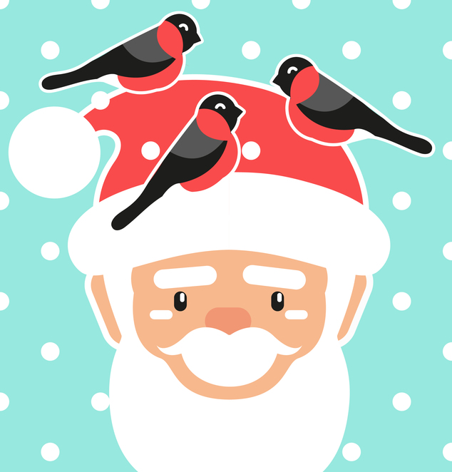 Main cyborg santa claus bird 03