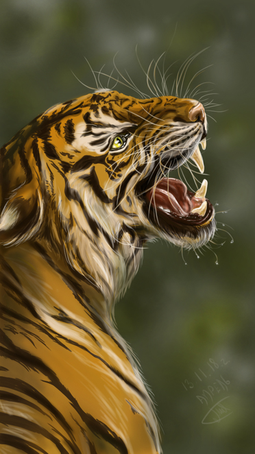 Tiger (Тигр)