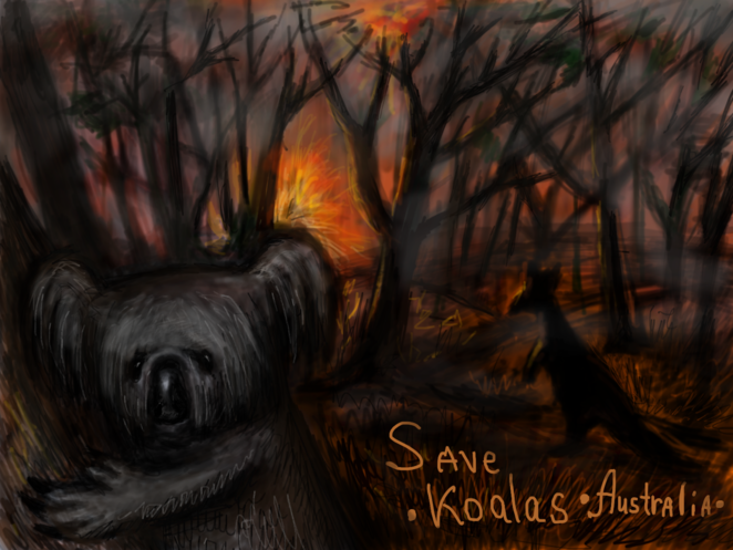 Save Koalas