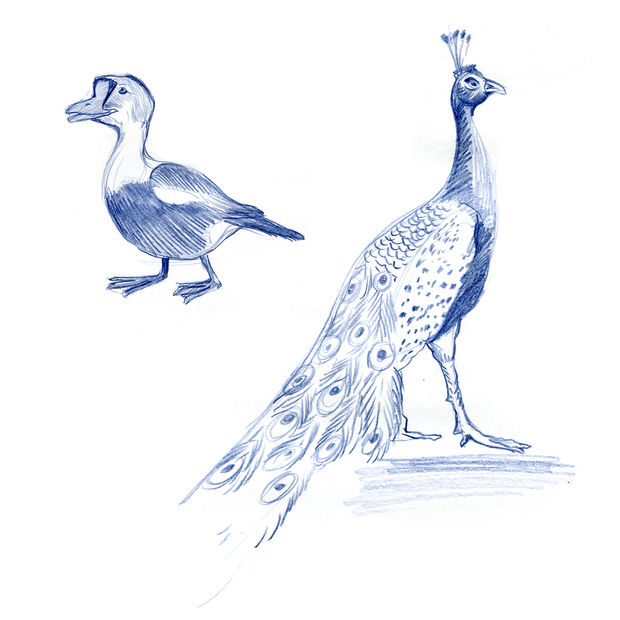 Main %d0%94%d0%b0%d1%80%d0%b2%d0%b8%d0%bd%d0%be%d0%b2%d1%81%d0%ba%d0%b8%d0%b9 22.01.2025