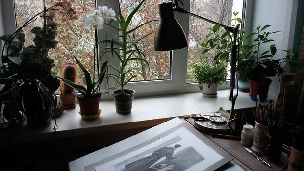 Main 22712427 1470264076355996 2186281967077328948 o