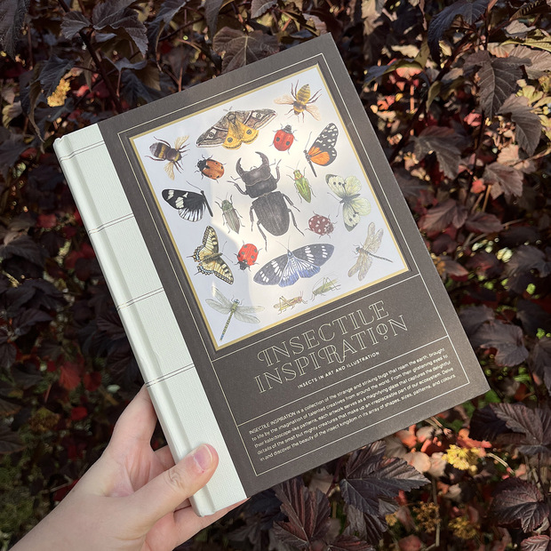 Main db8ee516 aac6 4ad6 a55a 9317fc25f077