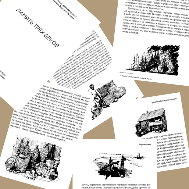 Main %d0%b4%d0%bb%d1%8f %d1%81%d0%be%d1%86 %d1%81%d0%b5%d1%82%d0%b5%d0%b9