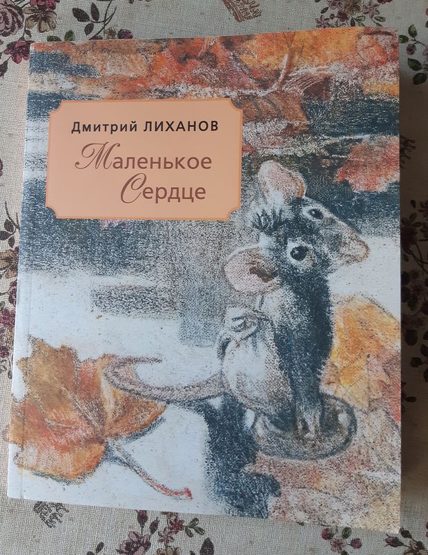 Main 20250914 103151