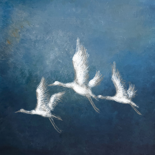 Main 40813d8f a56d 429b a6ae 0f6447f692f2