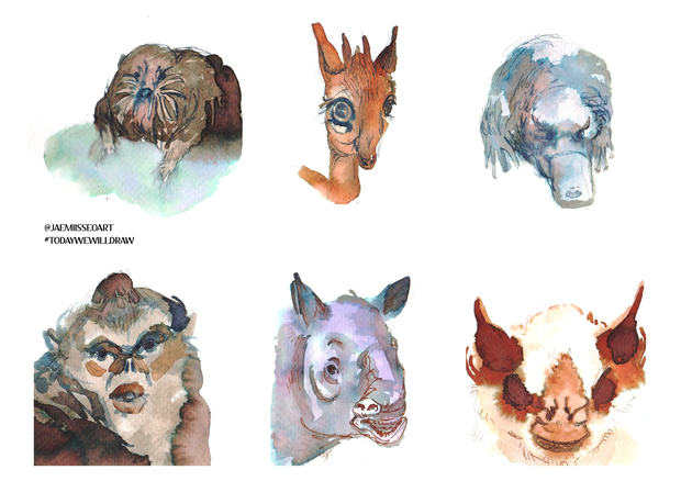 Main todatwewilldraw1