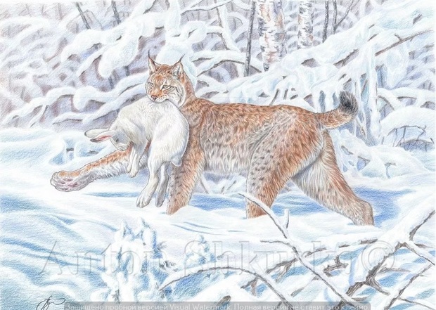 Main %d0%a0%d1%8b%d1%81%d1%8c %d1%81 %d0%b4%d0%be%d0%b1%d1%8b%d1%87%d0%b5%d0%b9