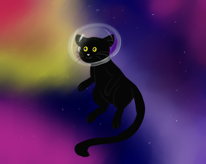 Black cat in space