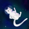 White cat in space