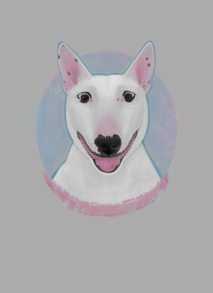 Стилизованный портрет питомца