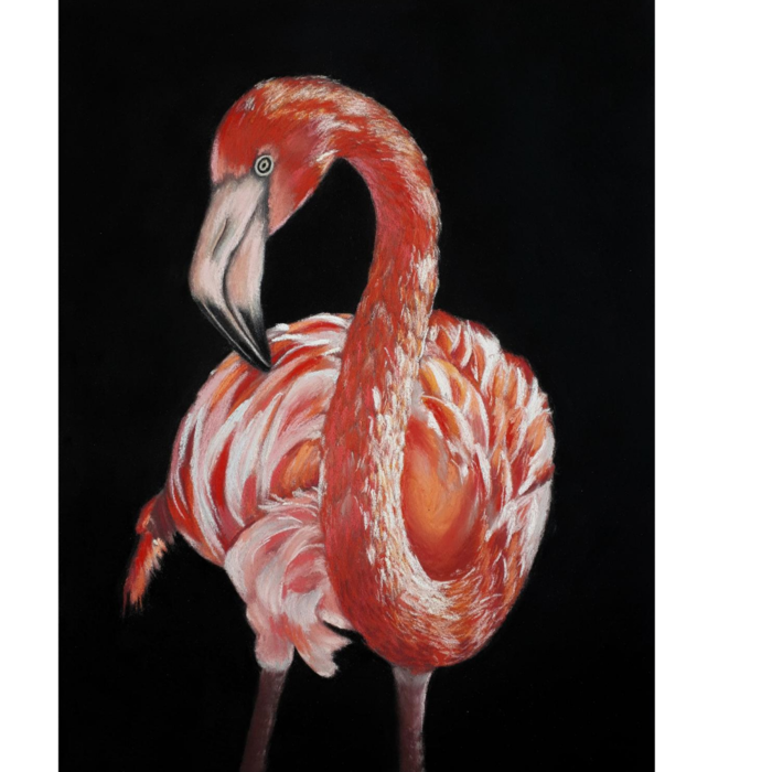 Портрет фламинго