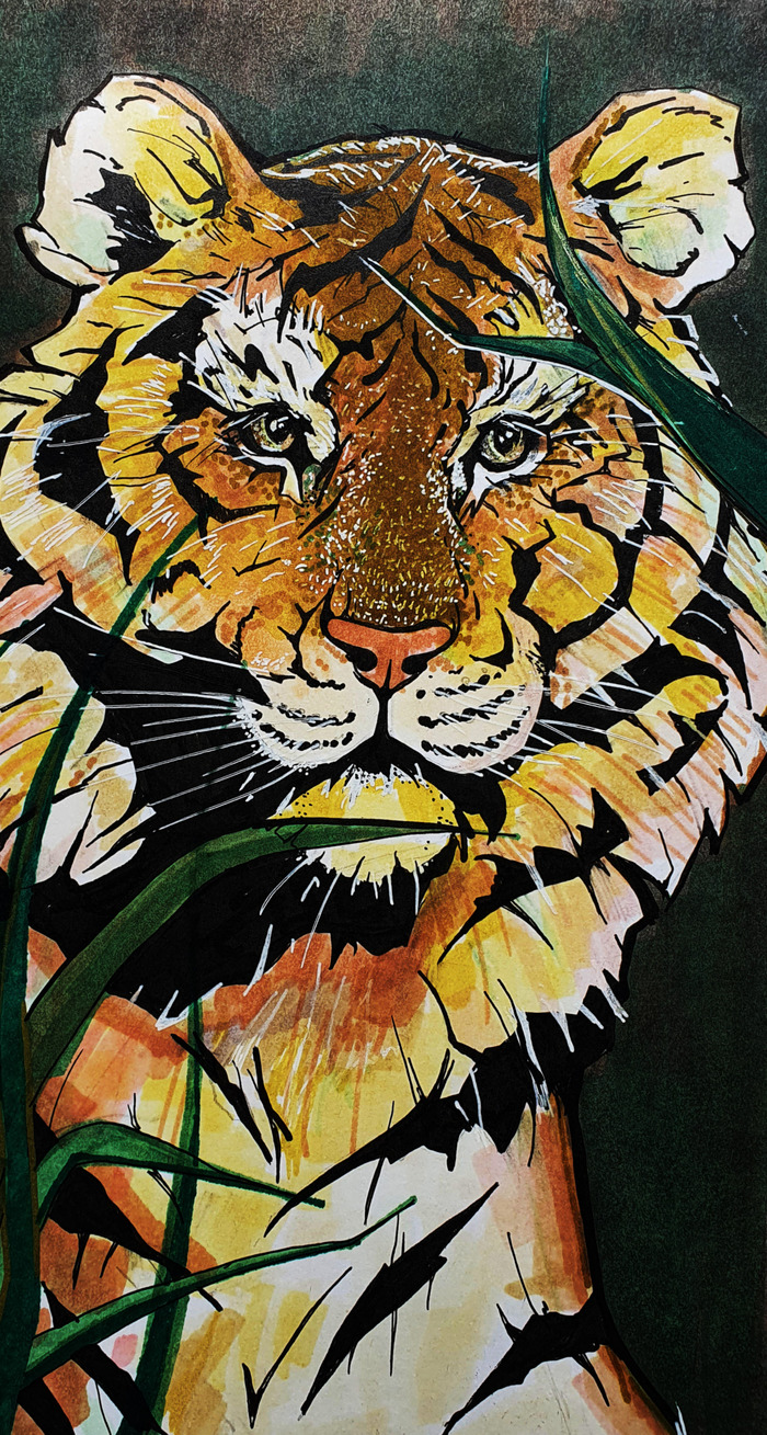 Тигр отдыхает