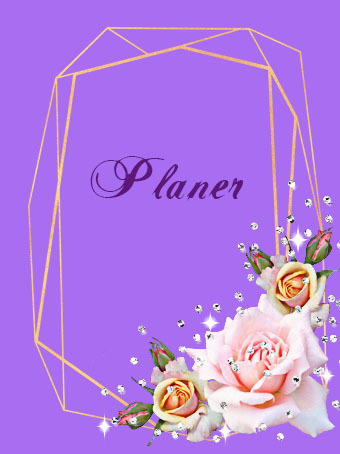 обложка планера