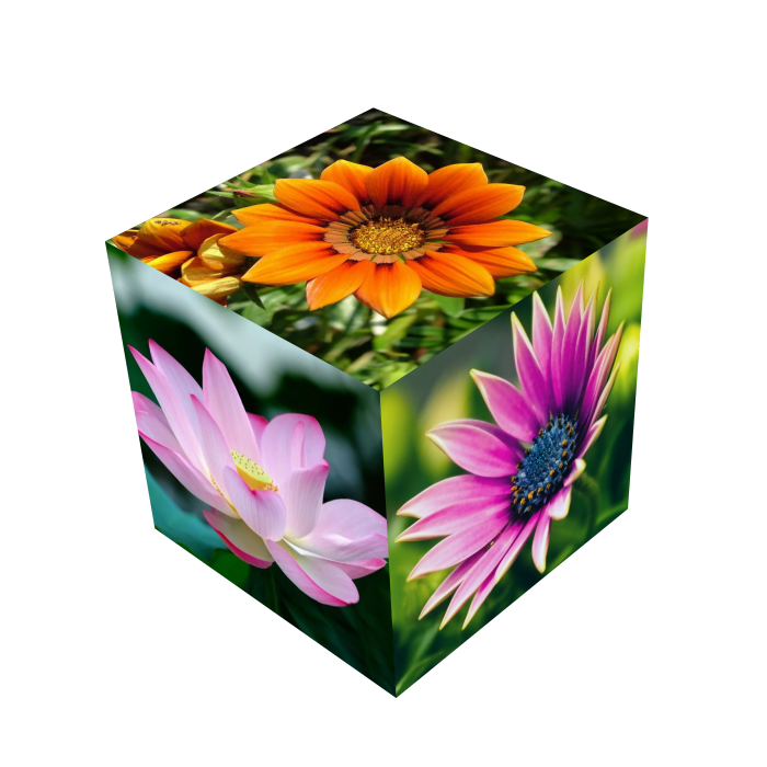 Куб с цветами внутри. Кубик с цветами. Кубик с цветочком. Декоративные Кубы с цветами.