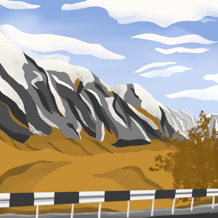 Поездка в Горный Алтай 